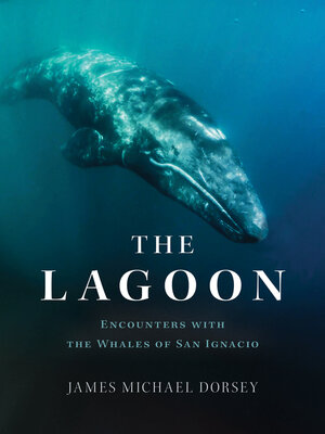 cover image of The Lagoon